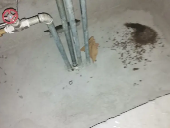 无锡市卫生间测漏水价格明细